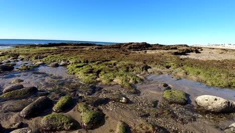 Pan-from-the-rocky-beach-down-to-the-far-end-of-the-tide-pools,-Puerto-Peñasco,-Gulf-of-California,-Mexico