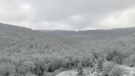 Vuelo-De-Invierno-Sobre-Los-árboles-En-Virginia-Occidental