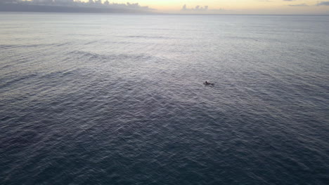 Single-man-swim-on-surfboard-on-Pacific-Ocean-at-sunset