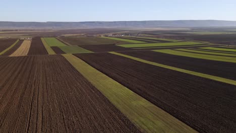 Luftaufnahme-Von-Riesigen-Landwirtschaftlichen-Feldern-Im-Landkreis-Vrancea,-Rumänien---Drohnenaufnahme