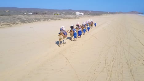 People-Riding-Camels-in-the-Desert-by-the-Beach-and-Ocean-Waves---Silhouettes-of-Camels---Drone-Aerial-Dynamic-Shot-with-Mountain-View