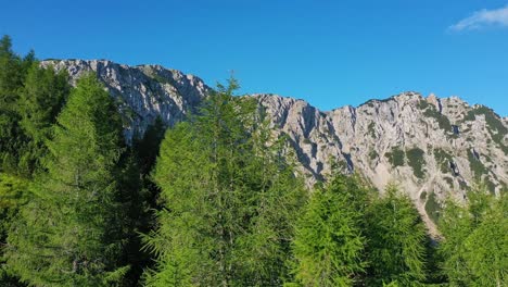 Drone-view-of-the-Rocky-Mountains-towering-above-the-pine-woods-in-mountain-Petzen-at-St