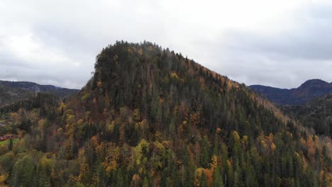 Ein-Hügel,-Der-Im-Herbst-Mit-Wald-Bedeckt-Ist