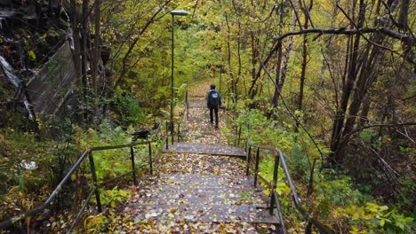 Autumn-countryside-scene,-Walker-descending-steps-near-waterfall
