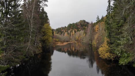 Drone-footage-of-a-calm-dark-forest-river-in-Autumn
