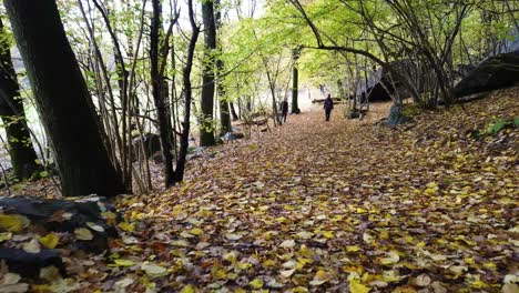 Fallen-Autumn-leaves,-handheld-low-level-shot-walking-through-woodland