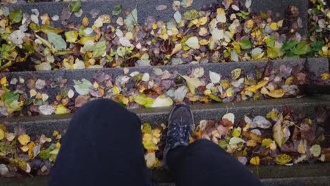 Walker-descending-concrete-steps-covered-in-Autumn-leaves