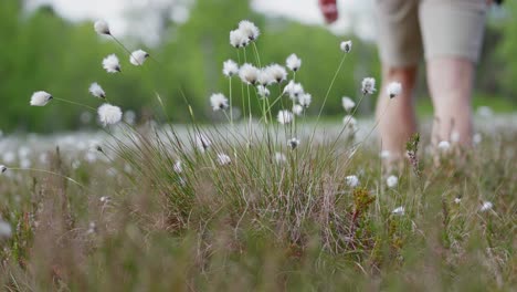 Person-Walks-Through-Wildflower-Fields-In-The-Countryside-Of-Norway