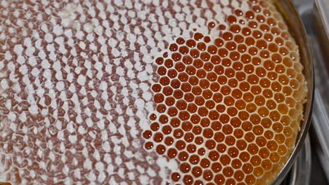 4K-Footage:-Fresh-honey-in-a-honeycomb-close-up