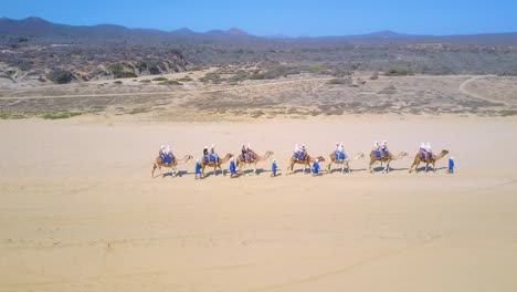 Gente-Montando-Camellos-En-El-Desierto-Junto-A-La-Playa-Y-Las-Olas-Del-Océano---Siluetas-De-Camellos---Toma-Dinámica-De-órbita-Aérea-De-Drones