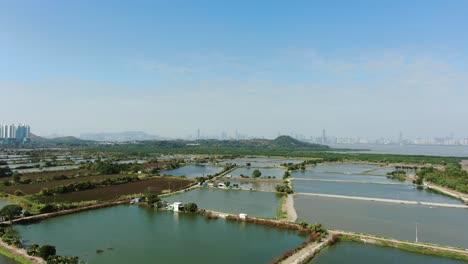 Mai-Po-Nature-Reserve-and-wetlands,-Hong-Kong,-Aerial-view