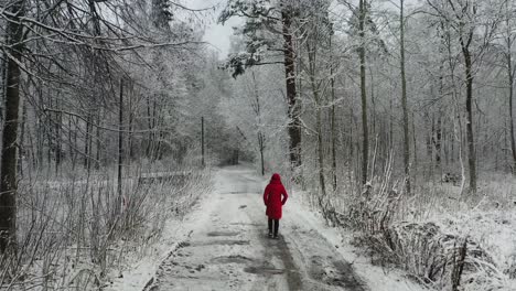Drone-Following-A-Lone-Woman-In-Red-Coat-Going-To-The-Forest-On-A-Cold-Winter-Day---back-view,-tracking-shot