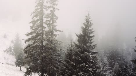 Foggy-morning-in-the-romanian-mountain