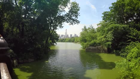 Idyllic-Place-in-Central-Park-of-New-York-City-during-warm-Summer-Day