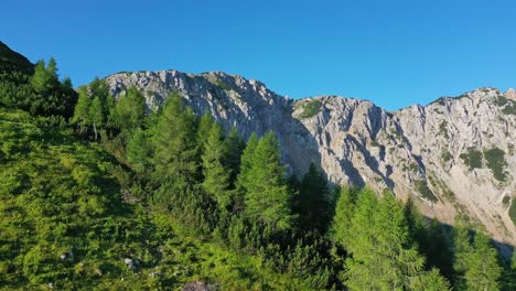 Antenne-Entlang-Der-Waldbaumgrenze-Mit-Bergrücken-In-Österreich-Im-Hintergrund