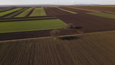 Farmland-With-Plowed-Field-During-Planting-Season-In-Vrancea,-Romania