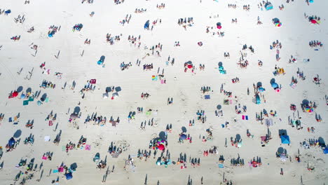 Aerial-top-down-view-of-beach-goers-enjoying-a-sunny-day-at-the-beach