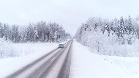 Schneefall-Bedeckte-Die-Straße-Und-Die-Bäume-Mit-Einer-Schneeschicht