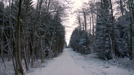 4k-Uhd-Luftdrohnenclip-Einer-Verschneiten-Straße,-Umgeben-Von-Bäumen-In-Einem-Wald-Im-Winter-Mit-Schnee,-Der-Die-Baumwipfel-In-Bayern,-Deutschland-Bedeckt