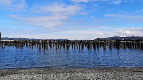 Old-Wooden-Pilings-Standing-On-Blue-Ocean-With-Rippling-Water-On-The-Sandy-Front-Beach-Of-Pacific-Northwest,-USA