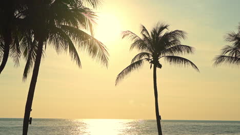 Magical-Morning-Sunlight-Above-Calm-Tropical-Sea,-Silhouettes-of-Coconut-Trees