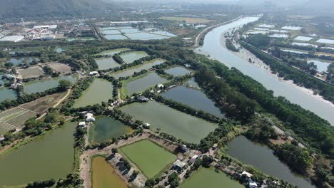Mai-Po-Nature-Reserve-and-wetlands,-Hong-Kong,-Aerial-view