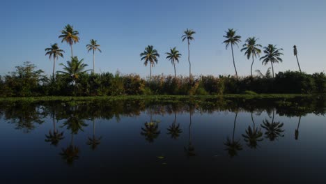 Kerala-Backwaters-Reflexion-Am-Frühen-Morgen