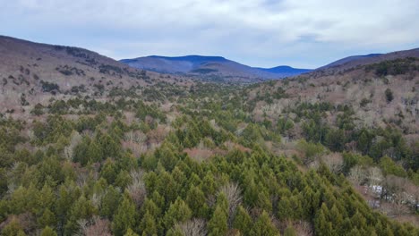 Drone-footage-of-remote-wilderness-with-a-valley,-pine-forests,-bare-canopy,-distant-mountains-and-snow-cover-on-the-forest-floor-on-a-cloud,-winter's-day
