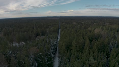4K-UHD-aerial-drone-clip-of-green-trees-in-a-forest-in-winter-with-snow-covering-the-cold-ground-and-tree-tops-in-Bavaria,-Germany