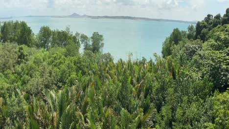Panoramic-View-From-Jejawi-Tower-With-Lush-Forest-And-Blue-Sea-In-Pulau-Ubin,-Singapore---Wide-Shot