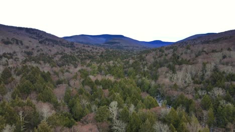 Drone-footage-of-remote-wilderness-with-a-valley,-pine-forests,-bare-canopy,-and-distant-mountains-on-a-cloudy-winter's-day