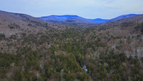 Drone-footage-of-remote-wilderness-with-a-valley,-pine-forests,-bare-canopy,-distant-mountains-and-snow-cover-on-the-forest-floor-on-a-cloud,-winter's-day