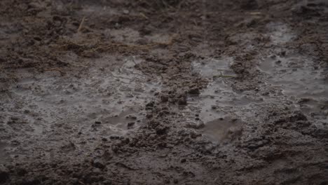 Rain-Drop-On-Muddy-Ground-4K