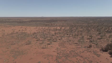 Dried-Out-Red-Desert-With-Growing-Plants-In-Sunny-Day-At-Northern-Territory-In-Central-Australia