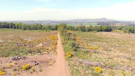 Aerial-panoramic-of-a-desolate-empty-landscape-after-tree-felling