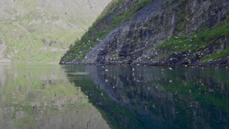 Kristallklarer-Wassersee-Mit-Reflexionen-Von-Fliegenden-Wilden-Seevögeln-Im-Sommer-In-Norwegen