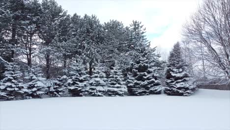 Drohnenschussspur-In-Richtung-Schneebedeckter-Bäume-Im-Winter