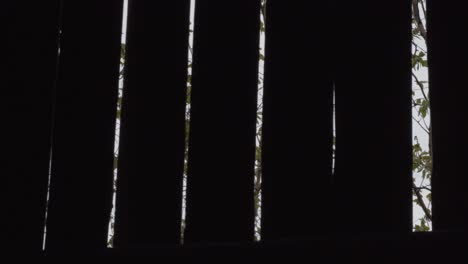 Trees-Visible-Through-Spaces-Through-Wall-Made-Of-Wooden-Planks