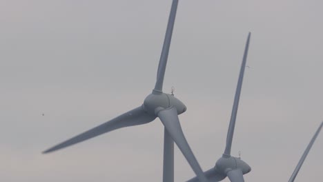 Spinning-blades-of-a-couple-of-wind-turbines-slowly-rotating-generating-electricity-at-sunset-with-birds-passing-by-in-the-background