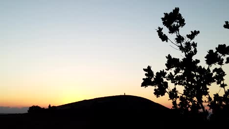 Kühler-Sonnenuntergang-Und-Baum,-Der-Im-Wind-Durchbrennt