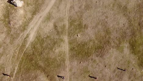 Searching-operation-for-lost-people-drone-shot