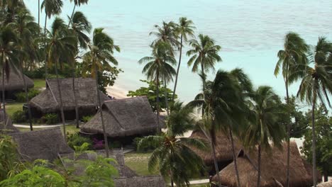 Wooden-houses-for-rent-by-the-beach-in-Moorea,-French-Polynesia