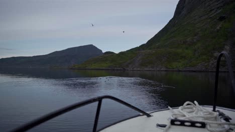 Vista-Desde-La-Proa-Del-Barco-Navegando-En-Un-Lago-Tranquilo-Con-Aves-Marinas-Nadando-Durante-La-Puesta-De-Sol-En-Noruega