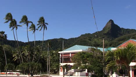 Avarua,-Rarotonga,-Cook-Islands,-houses,-palm-trees-and-mountain