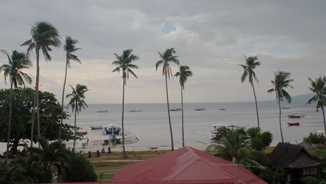 Palm-trees-lined-up-on-a-beach-with-small-fishing-boats-lined-up-in-the-horizon