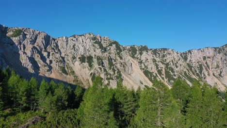 Aerial-establish-shot-of-Petzen-mountain-from-pine-forest