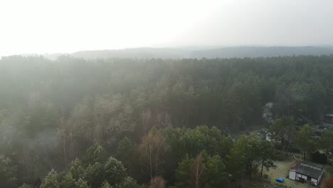 Disparo-De-Drones-Volando-Sobre-Los-árboles-Verdes-Sobre-Un-Bosque-Extendido-Cerca-De-Bartoszylas-Polonia-En-Un-Día-Brumoso