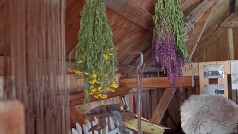 Gelbe-Und-Violette-Blumen,-Die-Kopfüber-An-Der-Decke-Eines-Norwegischen-Hauses-In-Norwegen-Hängen