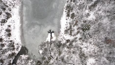 Winter-Lake-Drone-pull-up-video-in-4K
