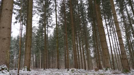 Pov-Dreht-Sich-Um-Schneebedeckte-Tannenbäume-In-Einem-Winterwunderland-An-Einem-Nebligen-Tag-Im-Winter-In-Bayern,-Deutschland
